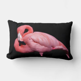 Roze Flamingo op zwart Kussen