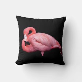 Roze Flamingo op Zwart Kussen