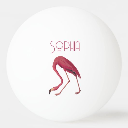  roze flamingo pingpongballen (Voorkant)