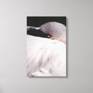 Roze Flamingo Portret Tekeneffect Kunst Canvas Afdruk