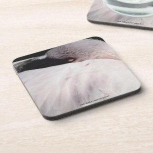 Roze Flamingo Portret Tekeneffect Kunst Drankjes Onderzetter