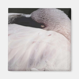 Roze Flamingo Portret Tekeneffect Kunst Magneet