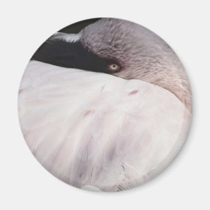 Roze Flamingo Portret Tekeneffect Kunst Magneet