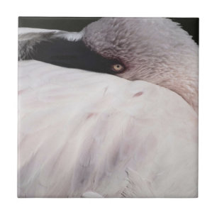 Roze Flamingo Portret Tekeneffect Kunst Tegeltje