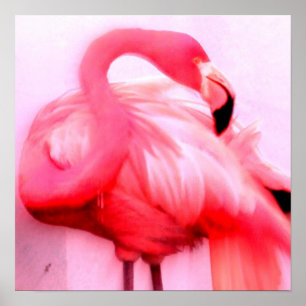 Roze Flamingo Poster