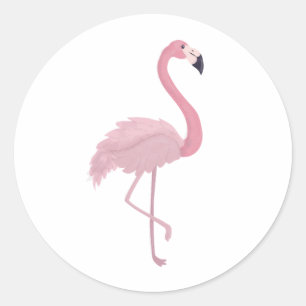 Roze Flamingo Ronde Sticker