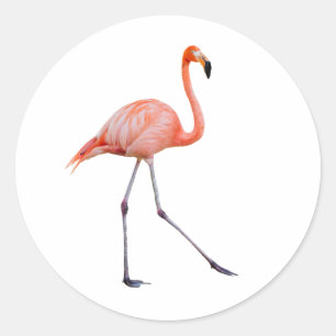 Roze Flamingo Ronde Sticker