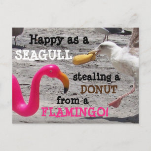 Roze Flamingo Seagull Donut Beach Humor Briefkaart