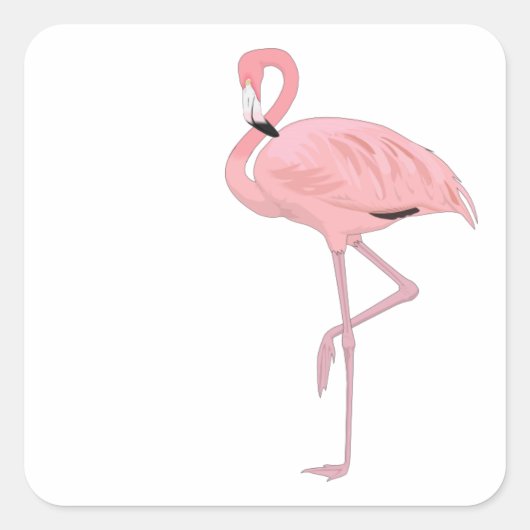 Roze Flamingo Staand Op Eén Been Vierkante Sticker (Voorkant)