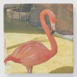 Roze Flamingo Stenen Onderzetter