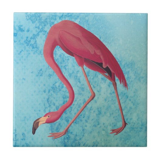  roze flamingo tegeltje (Voorkant)