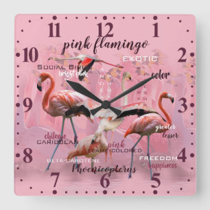 Roze Flamingo Typografie   GEPERSONALISEERD   Vierkante Klok