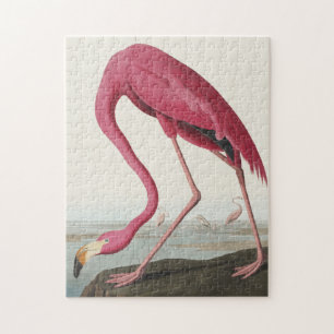Roze Flamingo uit Amerikaanse vogels Legpuzzel