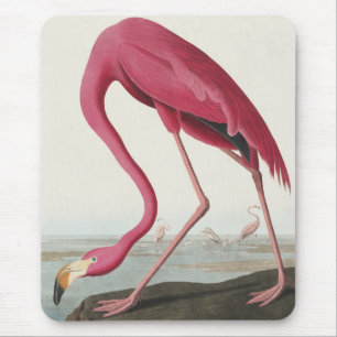 Roze Flamingo uit Birds of America Muismat
