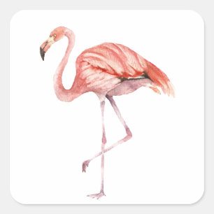 Roze Flamingo Vierkante Sticker