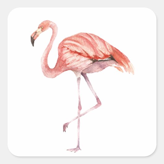 Roze Flamingo Vierkante Sticker (Voorkant)