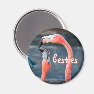 Roze Flamingo Vogels Foto Besties Script Stijlvol Magneet