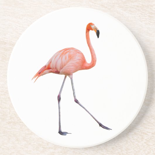 Roze Flamingo Zandsteen Onderzetter (Voorkant)