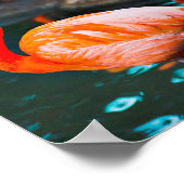 Roze flamingos Photo Dare is een ander script Poster (Hoek)