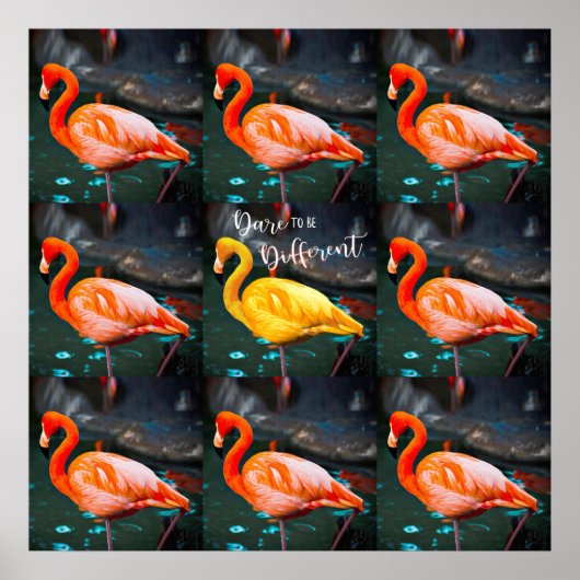 Roze flamingos Photo Dare is een ander script Poster (Voorkant)