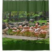 Roze Flamingos Showgordijn Douchegordijn (Voorkant)