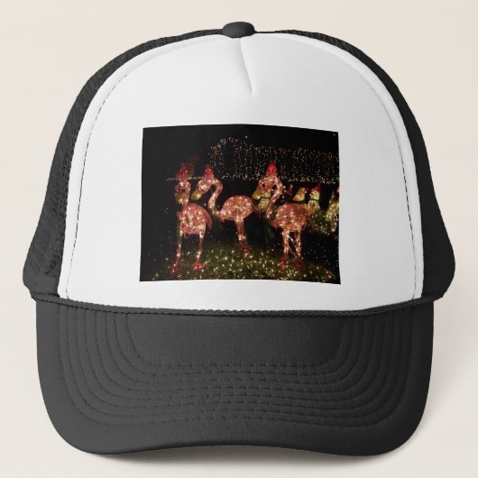 Roze Flamingo's Trucker Pet (Voorkant)