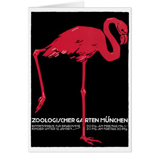 Roze flamingovogel in de dierentuin van München, D (Voorkant)