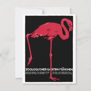Roze flamingovogel uit de dierentuin van München i