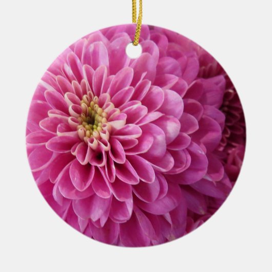 Roze flessencirkel keramisch Ornament (Voorkant)