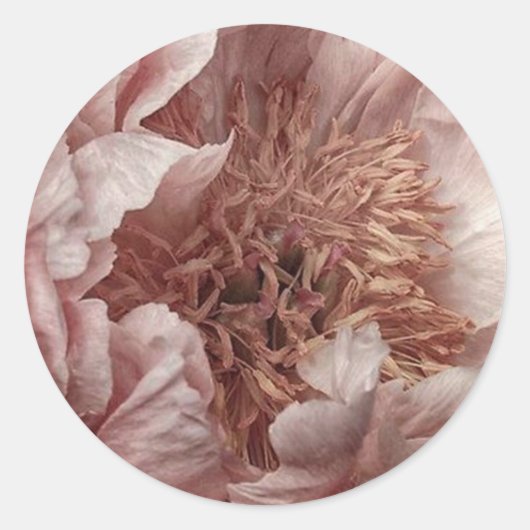 Roze floraal ronde sticker (Voorkant)