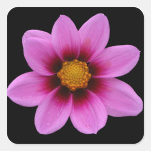 Roze Floral Art Vierkante Sticker