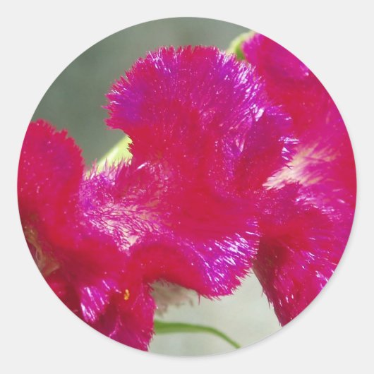 Roze Floral Sticker (Voorkant)