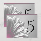 Roze Florentijns Tabelnummer Briefkaart (Voorkant / Achterkant)