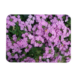 Roze Flowers magnet Magneet