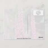 Roze Forma, bloemen (Veronica Longifolia) Briefkaart (Achterkant)