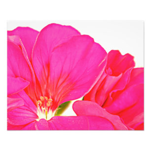 Roze foto afdrukken foto afdruk