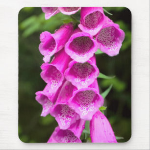 Roze Foxglove Mousepad Muismat