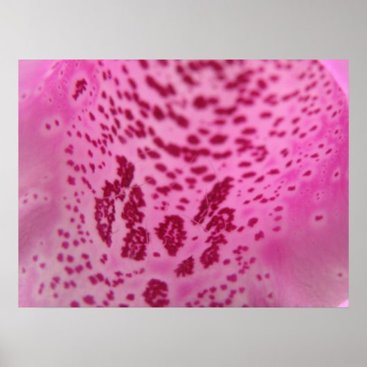 Roze Foxglove Petal Print (Voorkant)