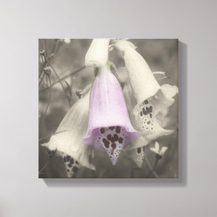 Roze foxglove-ventilator zwart-wit, partiële kleur canvas afdruk