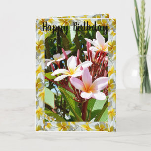 Roze Frangipani-boom, gevouwen Wenskaart Kaart