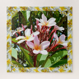 Roze Frangipani-boom met gele Frangipani-rand, Legpuzzel