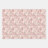 roze Frans Parisiaans design Inpakpapier Vel (Voorkant 2)