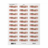 Roze Franse Floral Retour Adres Labels (Full Sheet)
