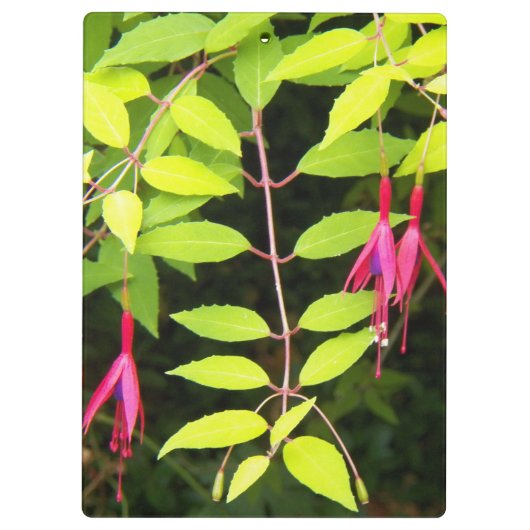 Roze Fuchsia Floral Klembord (Achterkant)