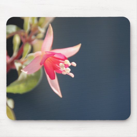 Roze Fuchsia Mousepad Muismat (Voorkant)