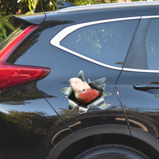 Roze Galah Papegaai Sticker – Australische Vogel D