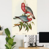 Roze gebrande Cacatua Poster (Thuiskantoor)