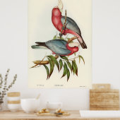 Roze gebrande Cacatua Poster (Keuken)