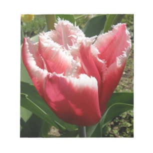 Roze Gefranjerde Tulp Notitieblok