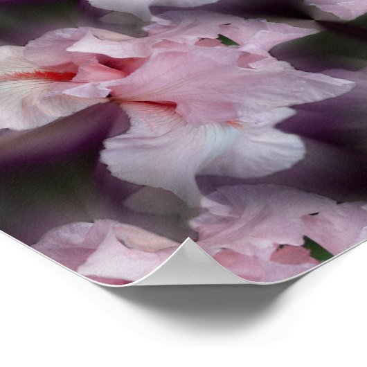 Roze gekaarde irisventilator Abstract Poster (Hoek)